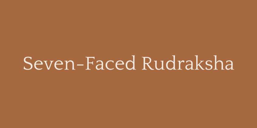 Seven-Faced Rudraksha (7 Mukhi Rudraksha)